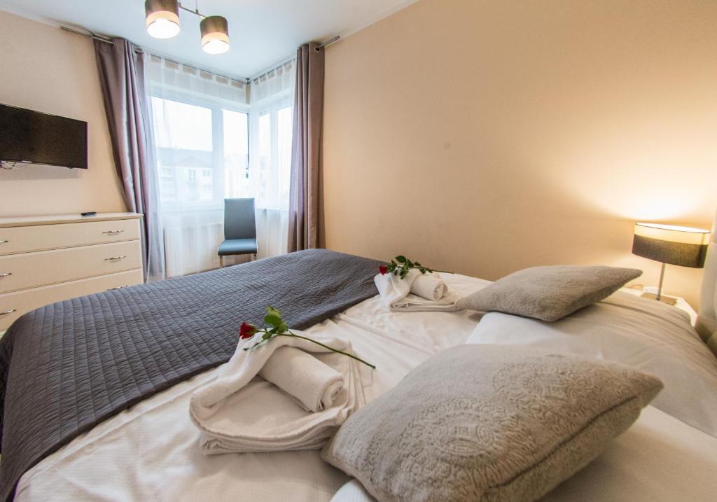 Apartamenty Izerskie - ul. Cicha 13D-E - 17