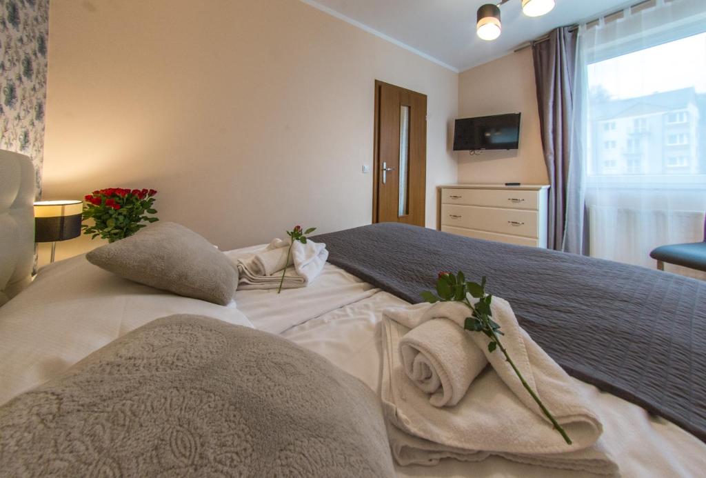 Apartamenty Izerskie - ul. Cicha 13D-E - 15