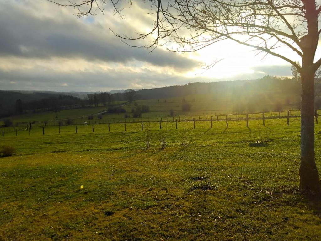 Gallery image of Abri de jardin in Vielsalm