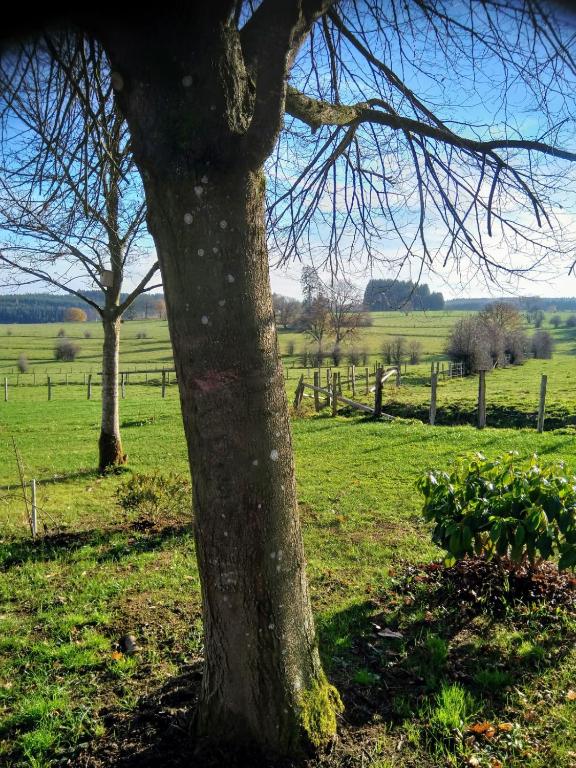 Chalet de jardin Zaventem