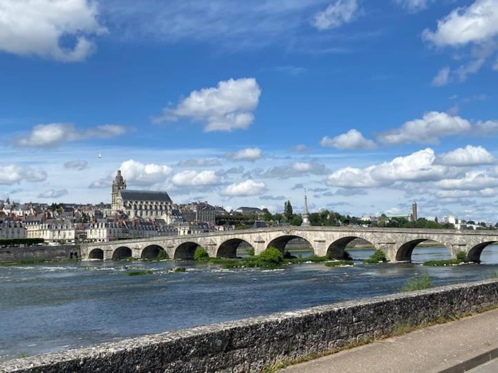 a bridge over a river in a city at Pause Paisible à Blois « Comme à « BROOKLYN » in Blois