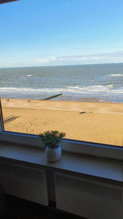 a view of the beach from a window with a plant at Appartement Knokke Zeedijk in Knokke-Heist