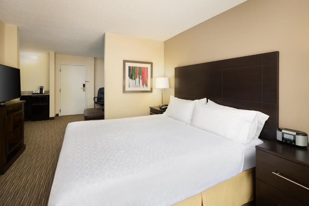Holiday Inn Express & Suites Alpharetta by IHG - Standaard King Kamer Met Slaapbank