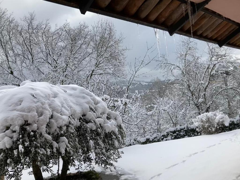Obiekt Villa Gioia relax immersi nel verde zimą