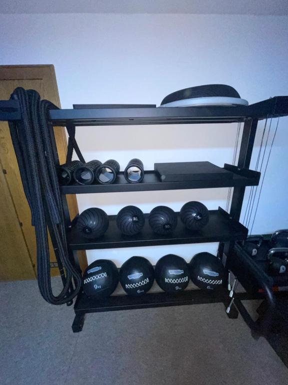Fitness centrum a/nebo fitness zařízení v ubytování Ferienhaus Larinmos
