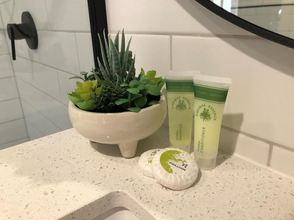 The Osmond Motel & Apartments - Resim 21