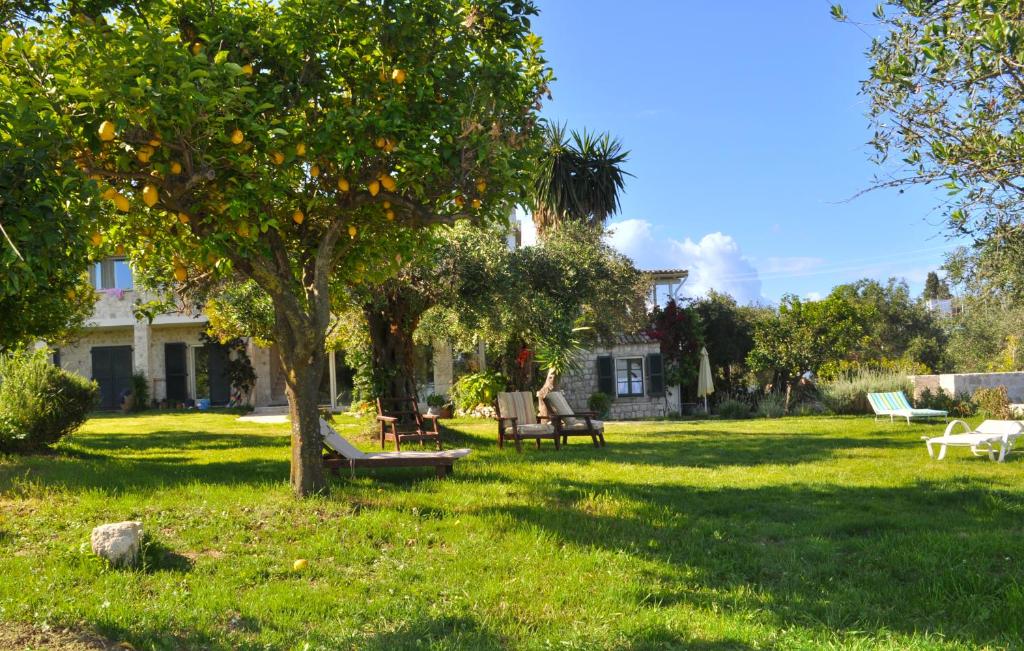 Zahrada ubytování House Lemoni, Apartment C - Pelekas, Corfu