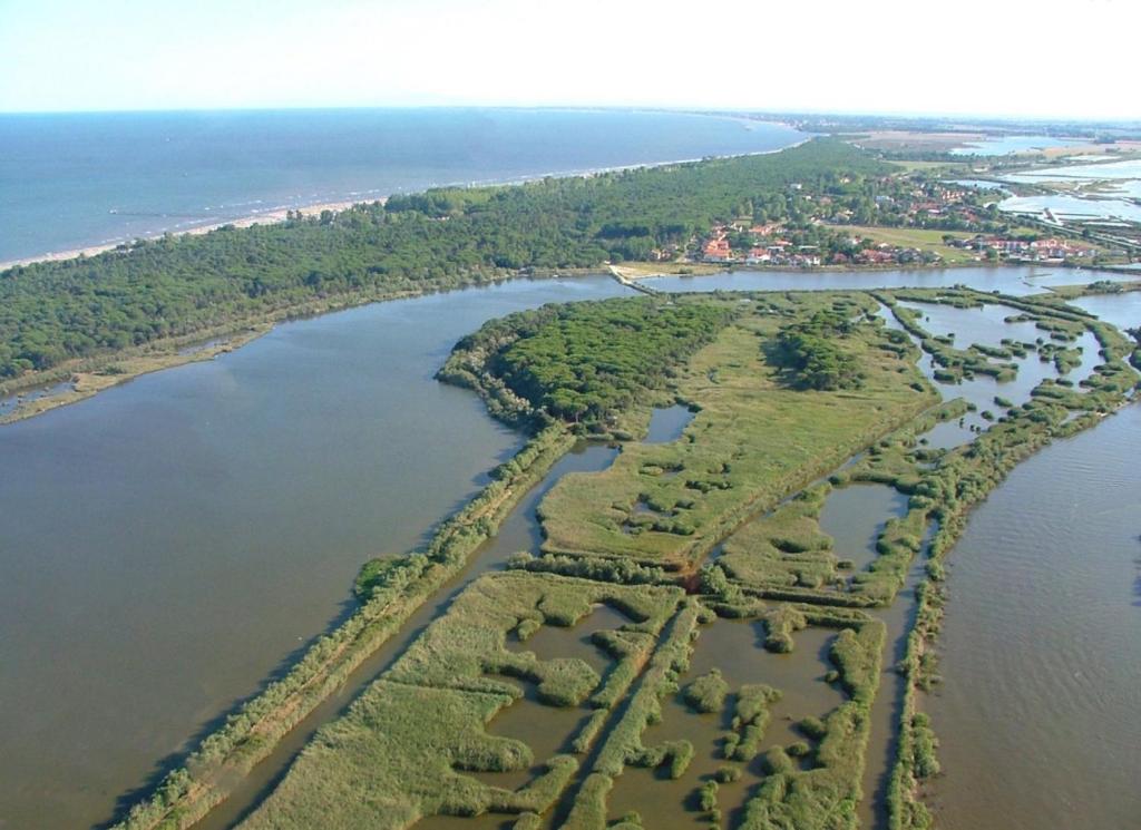 Příroda nedaleko apartmánu
