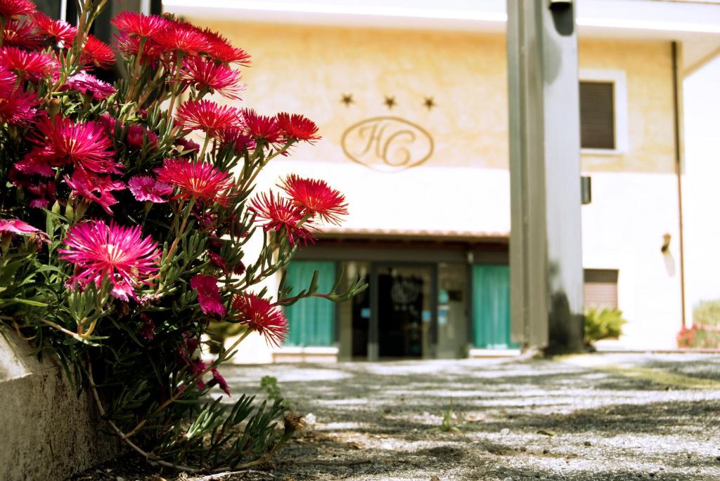 Une bande de fleurs rouges devant un bâtiment dans l'établissement Hotel California, à Ariccia