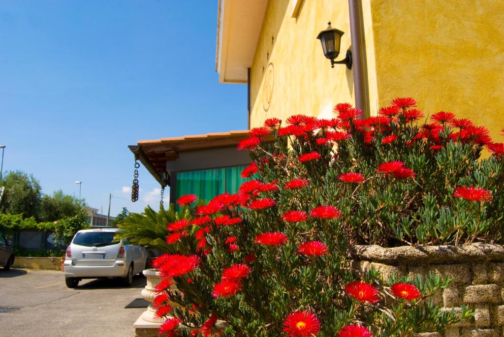 Zahrada ubytování Hotel California