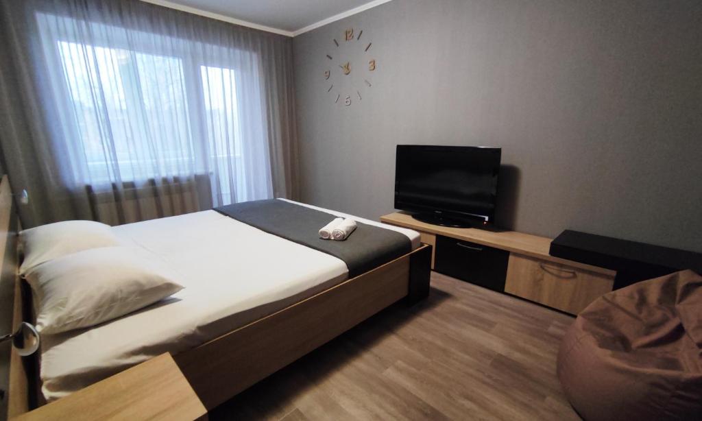 クルィヴィーイ・リーフにあるДвухкомнатные апартаменты центр Mystetsʹka 3 KR Apartmentsのベッドルーム(ベッド1台、薄型テレビ付)