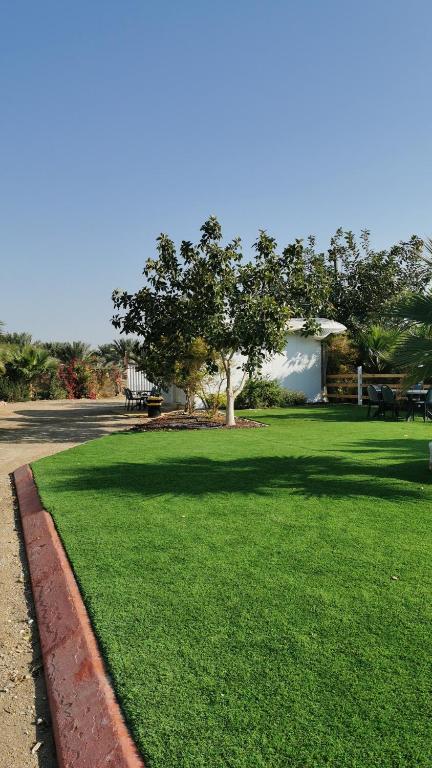 a green lawn with a tree in the middle at חאן במדבר ארץ ירוקה in Almog