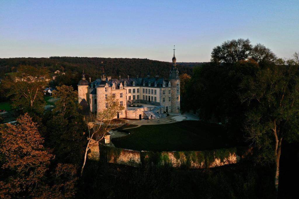een luchtzicht op een kasteel in het bos bij Le Château de Mirwart in Mirwart
