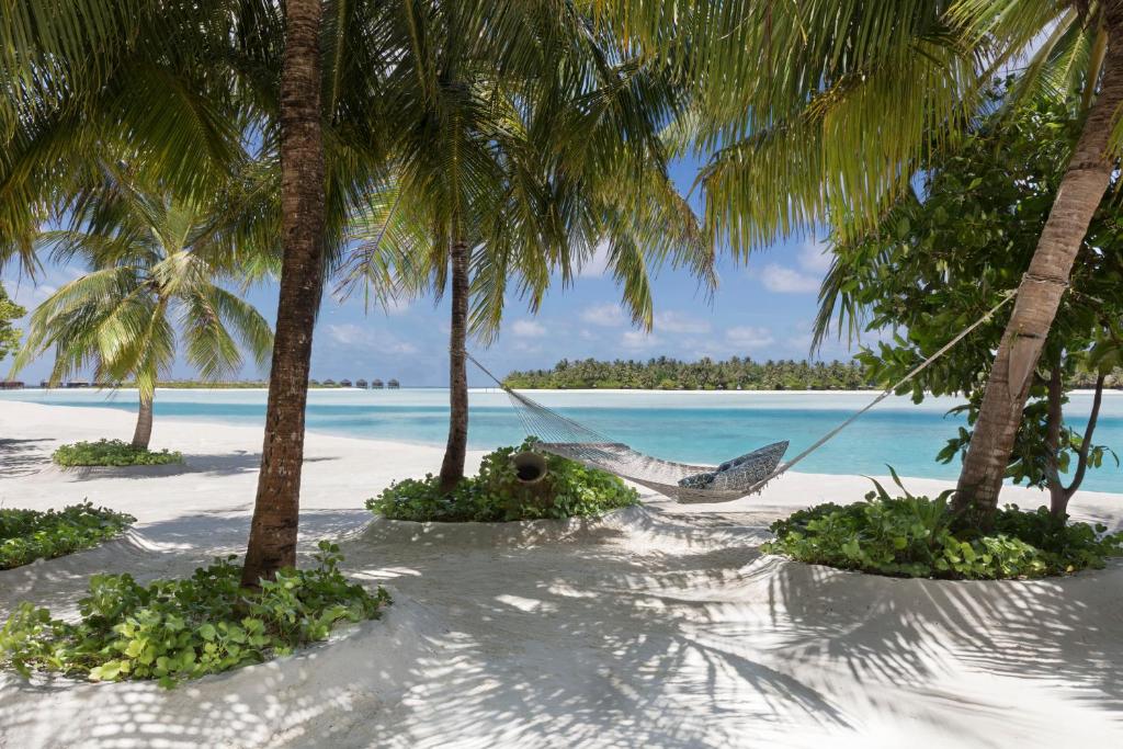 Naladhu Private Island Maldives - View 15