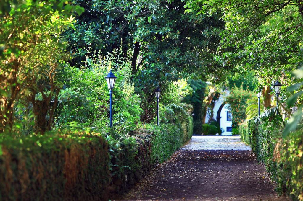 Zahrada ubytování Solar Do Conde Garden Hotel