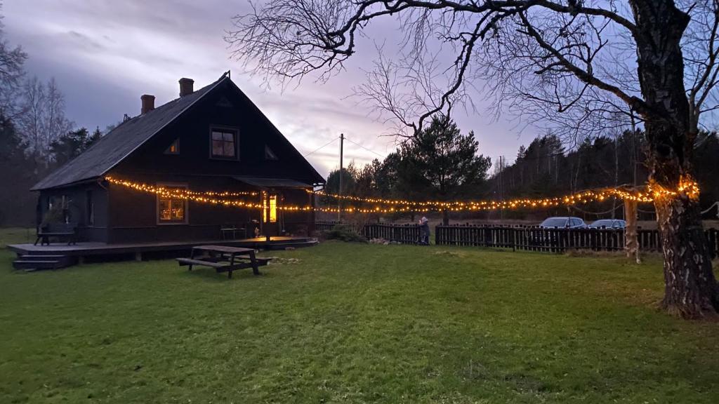a house with a string of lights around it at Holiday Home NIGLINI in Saunags