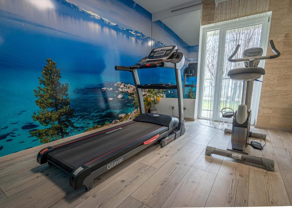 Fitness centrum a/nebo fitness zařízení v ubytování Mera Brise