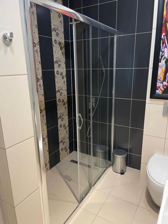 Koupelna v ubytování Apartament Janek