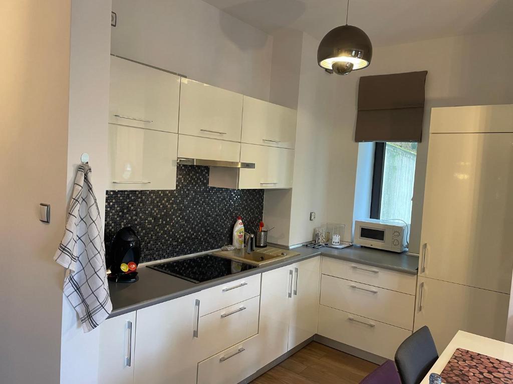 Kuchyň nebo kuchyňský kout v ubytování Apartament Janek