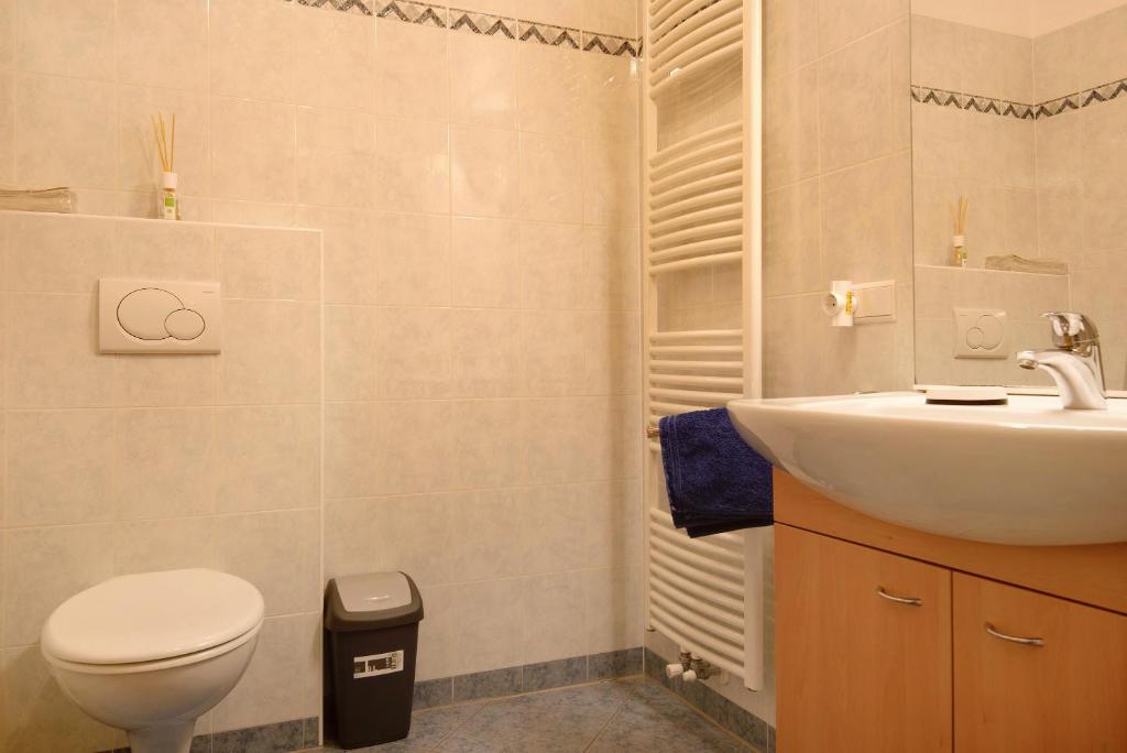 A bathroom at Apt Talblick Hinterproslhof