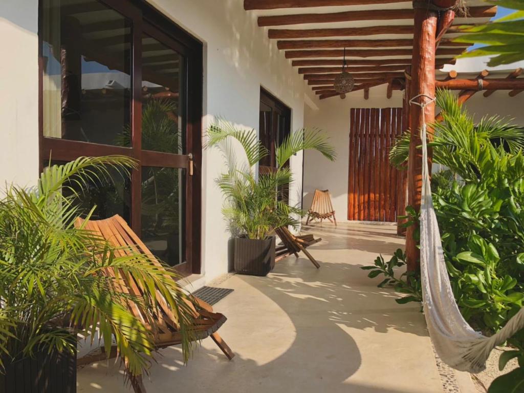 Zahrada ubytování Mis Sueños Holbox