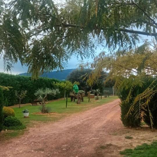 Príroda v okolí of the country house