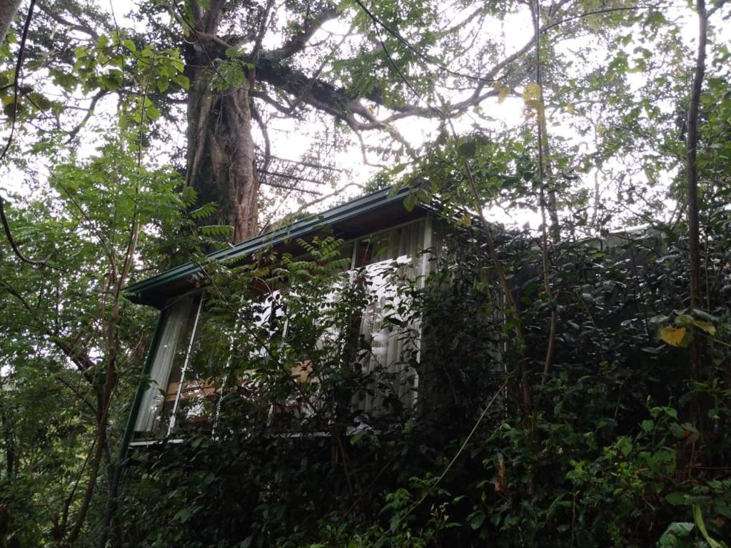 Sinharaja Kurulu Ella Eco Resort - 15