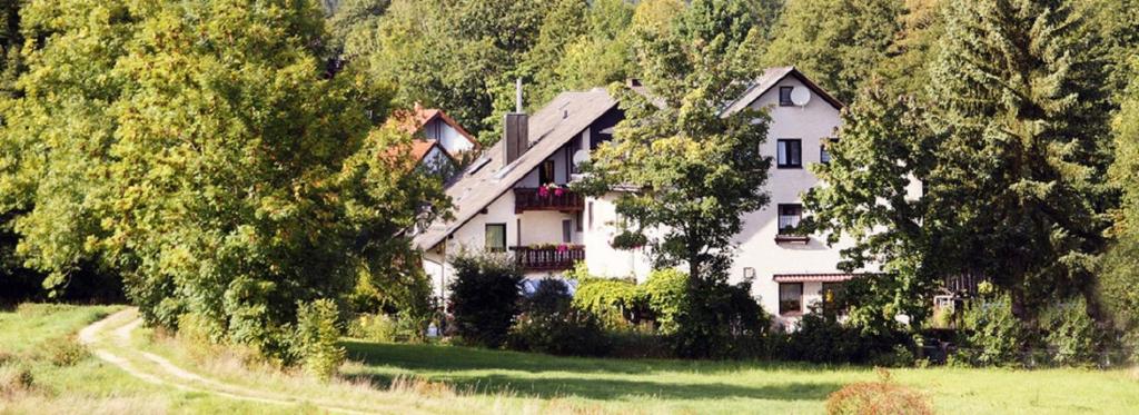 a large white house in the middle of a forest at Bellas Mühlbachtal in Friedenfels