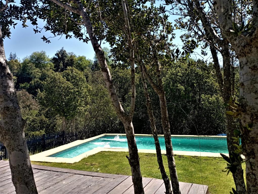 a swimming pool in a yard with trees at Refugio Silvestre Parque Nacional Siete Tazas-Salida a río y pesca in El Bolsico