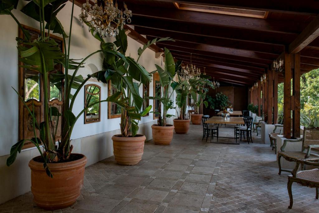 korytarz z doniczkami oraz stołem i krzesłami w obiekcie La Locanda Del Pontefice - Luxury Country House w mieście Castel Gandolfo
