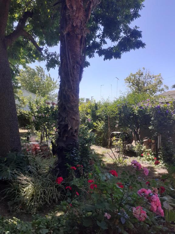 City Bell – Photos 2