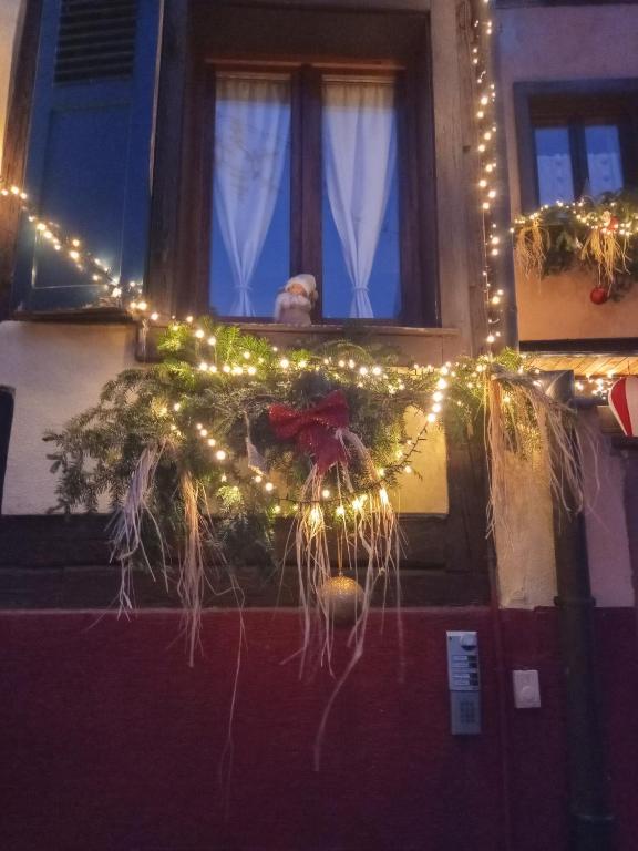 Gites Aux Fines Bulles d'Alsace – photo 40
