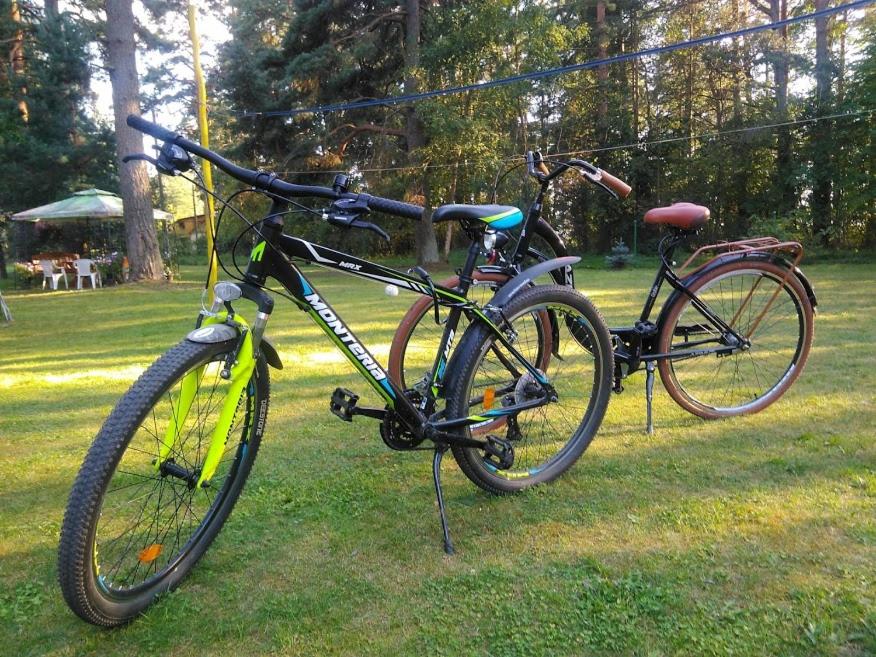 Jízda na kole v ubytování Albatross nebo okolí
