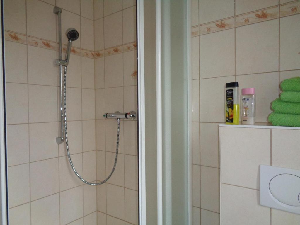 y baño con ducha y toalla verde. en Ferienwohnung in der Altstadt von Coswig Anhalt, en Coswig