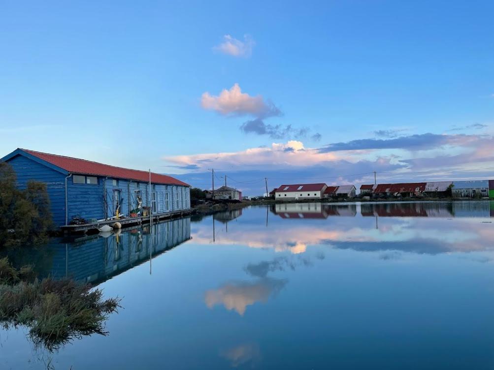 een grote hoeveelheid water met een gebouw en huizen bij LES MIMOSAS in Saint-Trojan-les-Bains