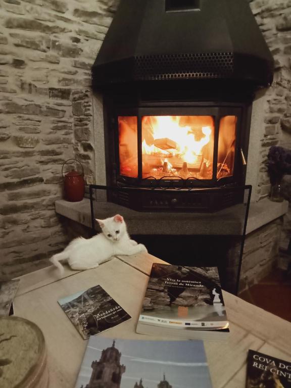 Fotografie z fotogalerie ubytování A Casa das Augas v destinaci Mondoñedo