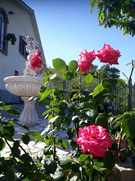 Zahrada ubytování Cà Du Ruja