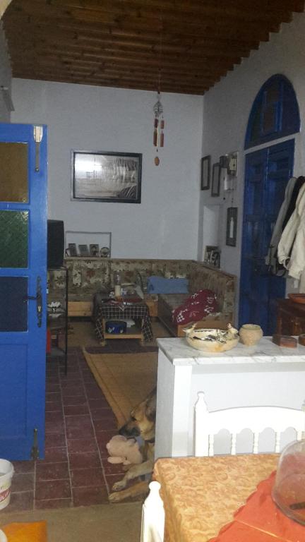 a living room with a dog laying on the floor at Maison d'hôte Chama in Kairouan