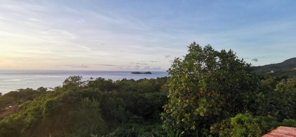 una colina con árboles y vistas al océano en Malendure Bay Appartements en Bouillante
