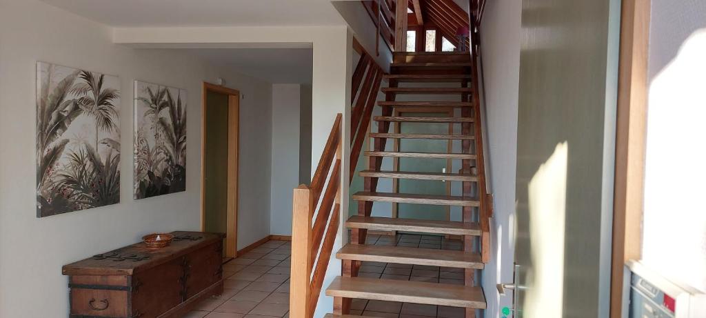 La Canopée Alsacienne - Magnifique maison à Ribeauvillé – photo 20