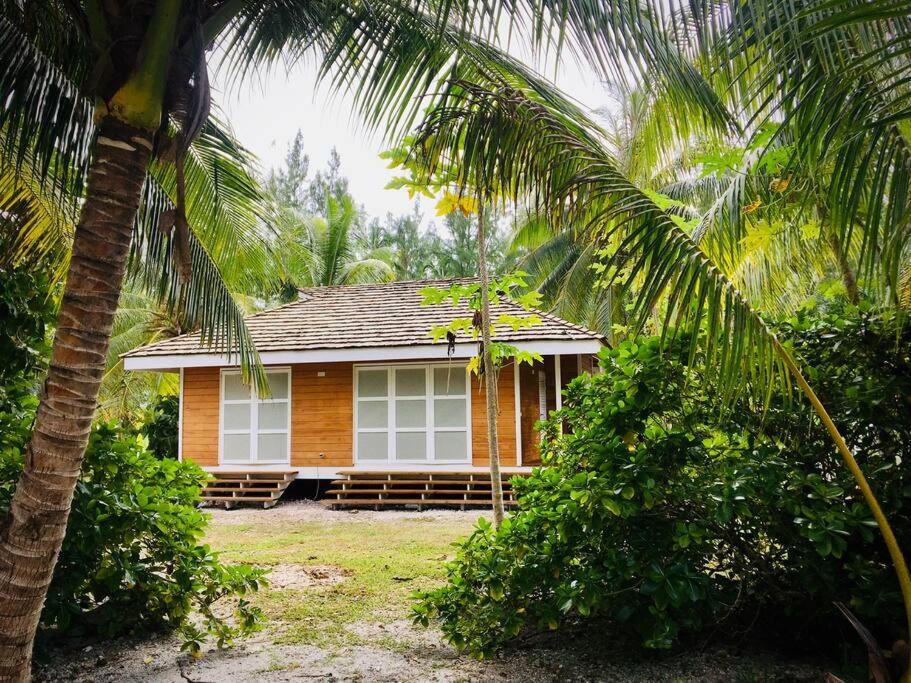une petite maison avec un palmier en face dans l'établissement Cottage « the papaya tree », à Temae