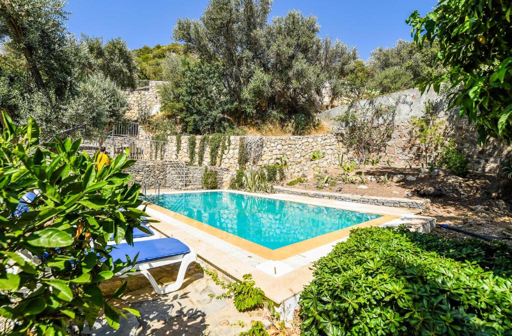 a swimming pool in the middle of a garden at Villa Leo Bodrum in Yalıkavak