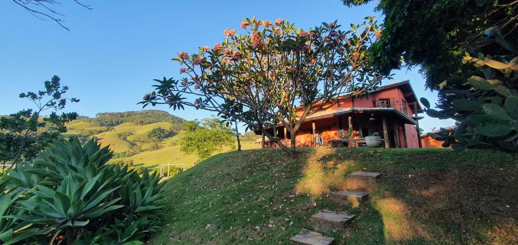 uma casa no topo de uma colina com uma árvore em Ellementares Guest House em Socorro