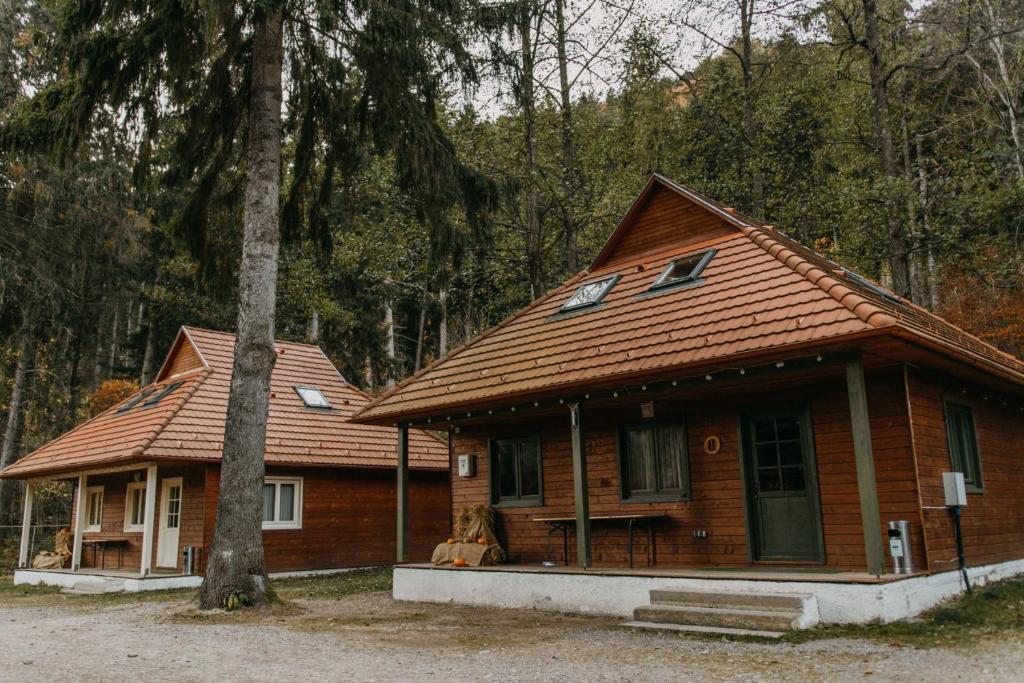 una casa de madera con un árbol delante en Tusnad Camping en Băile Tuşnad