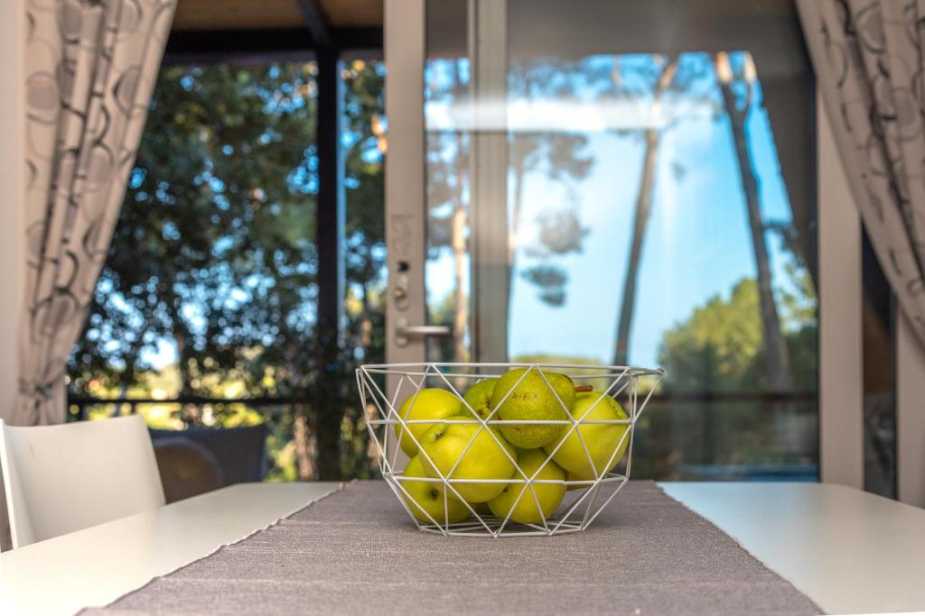 Mobile Homes AZZURRO - 11