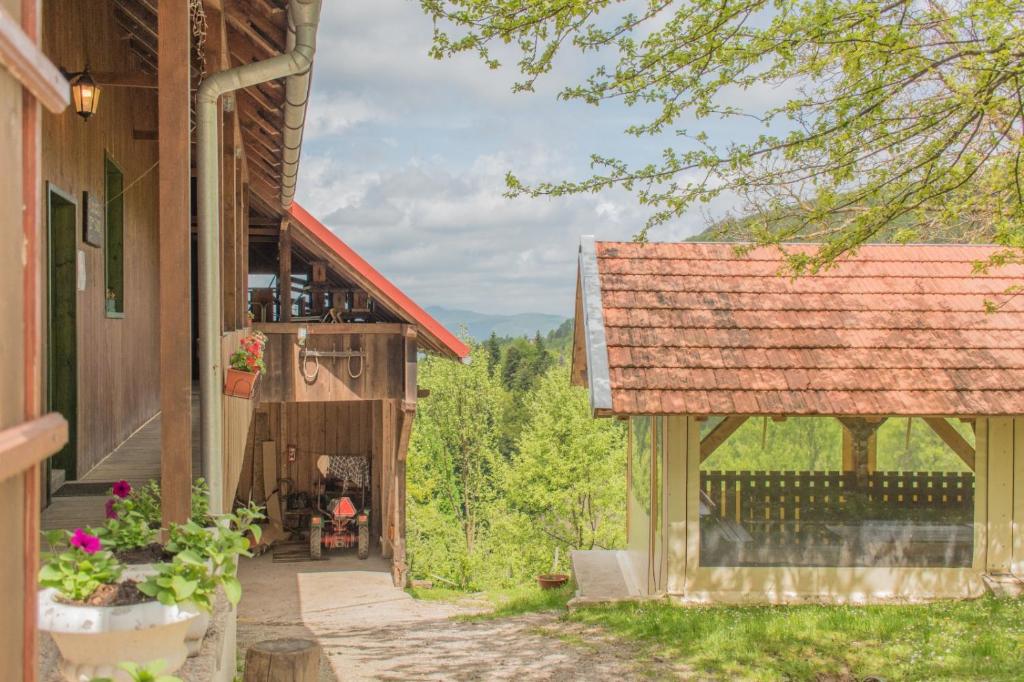 Příroda nedaleko penzionu