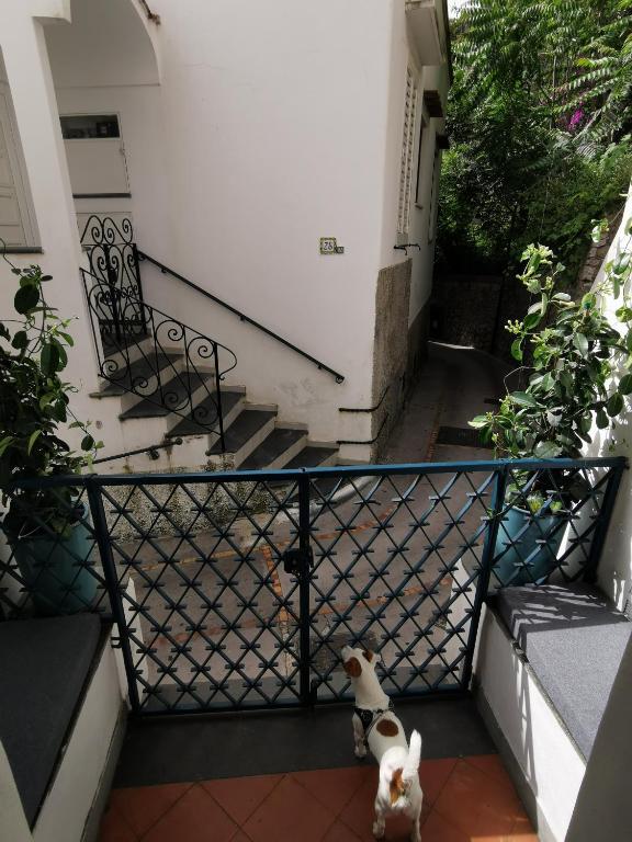 Zdjęcie z galerii obiektu Casa Ruggiero w mieście Capri