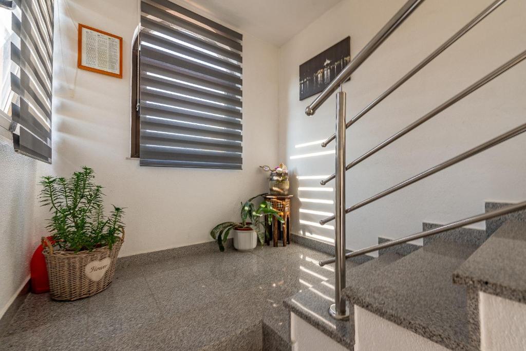 Fotografia z galérie ubytovania Apartments Roje v Rogoznici