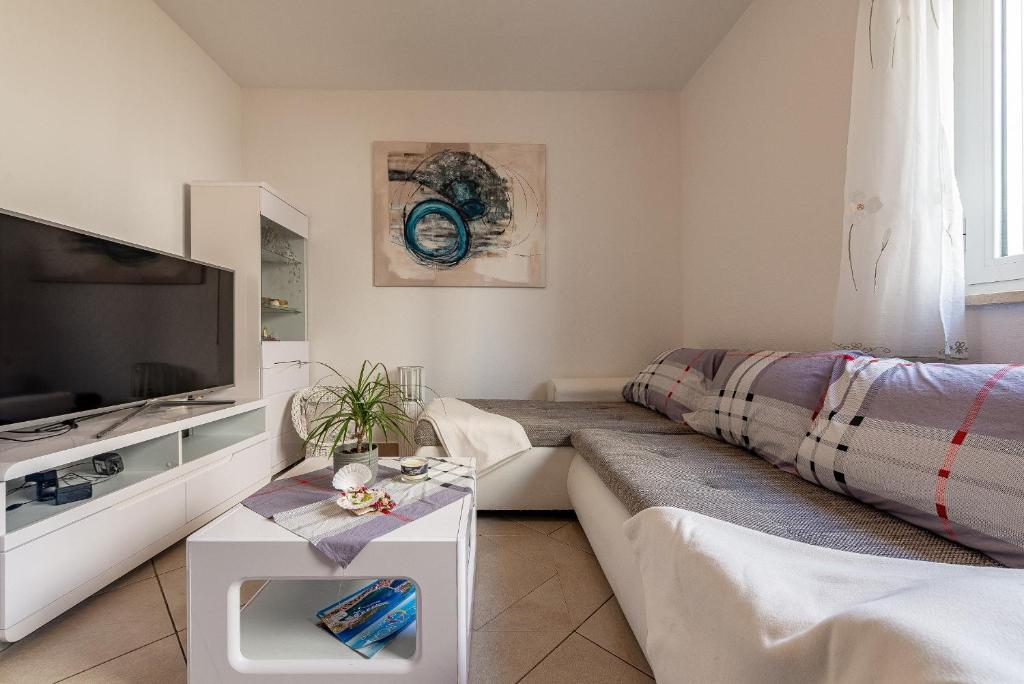 Televízia a/alebo spoločenská miestnosť v ubytovaní Apartments Roje