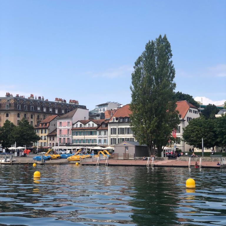 a body of water with yellow balls in front of buildings at Hôtel du Port in Lausanne